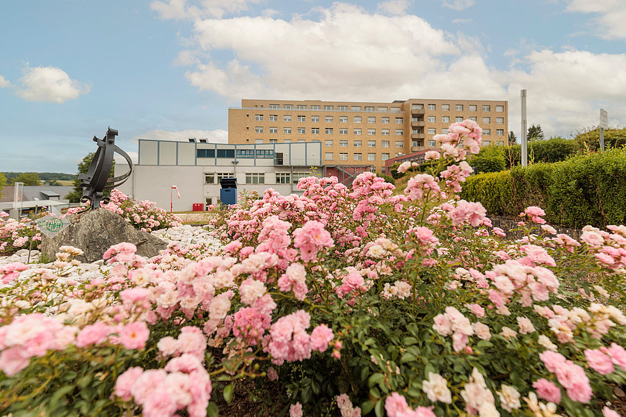 Blick auf ein mehrstöckiges Gebäude hinter einem Beet mit zahlreichen rosa blühenden Rosen und einer Sonnenuhr auf einem Stein.